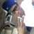 londonjay