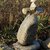 robynsgoal